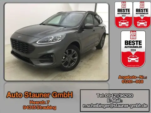 Used FORD KUGA Hybrid 2024 Ad 