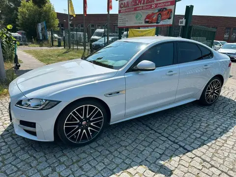 Annonce JAGUAR XF Diesel 2019 d'occasion 