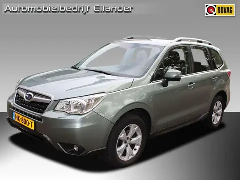 Used SUBARU FORESTER Petrol 2015 Ad 