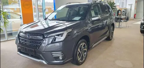 Annonce SUBARU FORESTER Essence 2024 d'occasion 