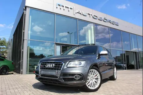 Used AUDI SQ5 Diesel 2016 Ad 