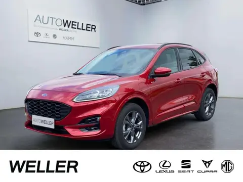 Annonce FORD KUGA Hybride 2023 d'occasion Allemagne