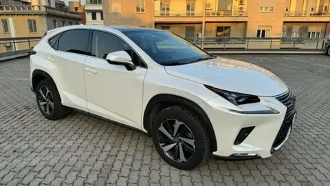 Used LEXUS NX Hybrid 2021 Ad 