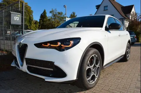 Used ALFA ROMEO STELVIO Petrol 2023 Ad 