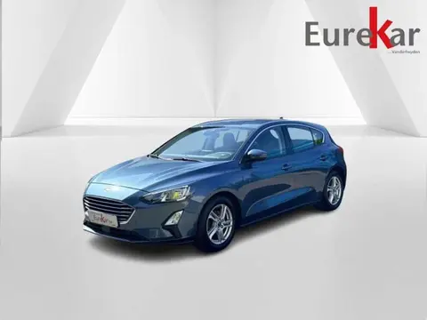 Annonce FORD FOCUS Essence 2019 d'occasion 