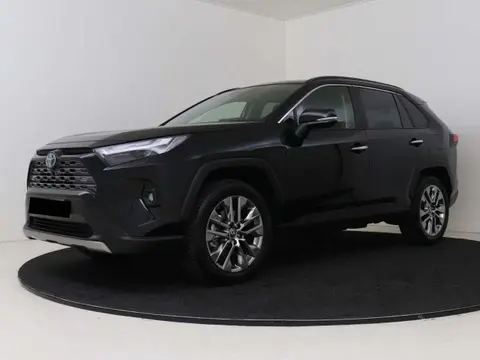 Used TOYOTA RAV4 Hybrid 2024 Ad 