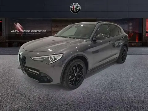 Used ALFA ROMEO STELVIO Diesel 2019 Ad 