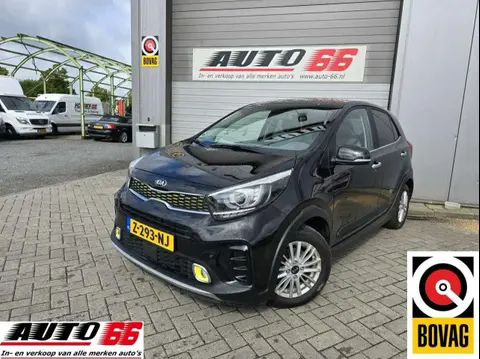 Used KIA PICANTO Petrol 2021 Ad 