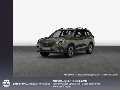 Annonce SUBARU FORESTER Hybride 2024 d'occasion 