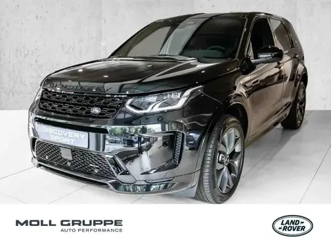 Used LAND ROVER DISCOVERY Hybrid 2024 Ad 