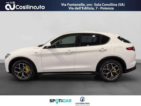 Annonce ALFA ROMEO STELVIO Diesel 2020 d'occasion 