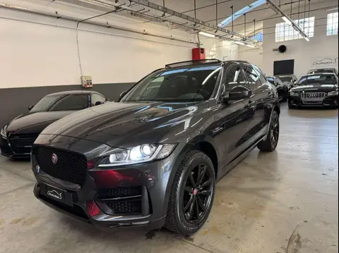 Used JAGUAR F-PACE Petrol 2018 Ad 