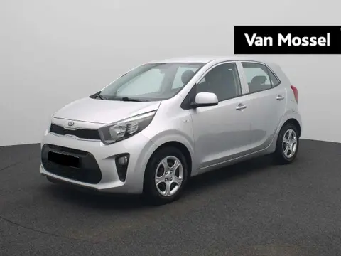 Annonce KIA PICANTO Essence 2019 d'occasion 