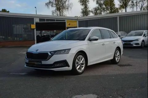 Used SKODA OCTAVIA  2021 Ad 