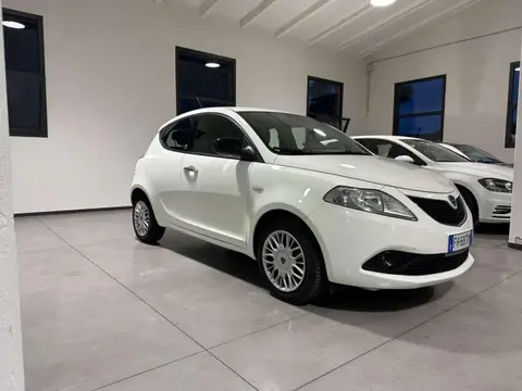 Used LANCIA YPSILON LPG 2017 Ad 