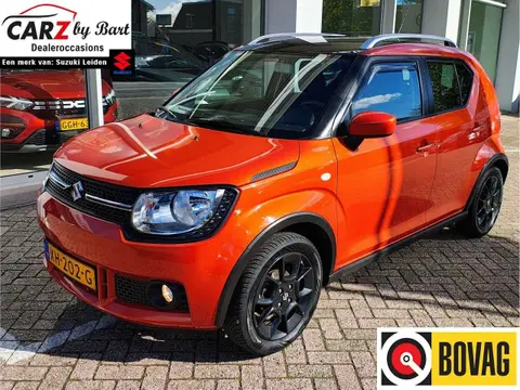 Used SUZUKI IGNIS Petrol 2019 Ad 