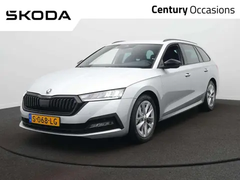 Used SKODA OCTAVIA Petrol 2023 Ad 