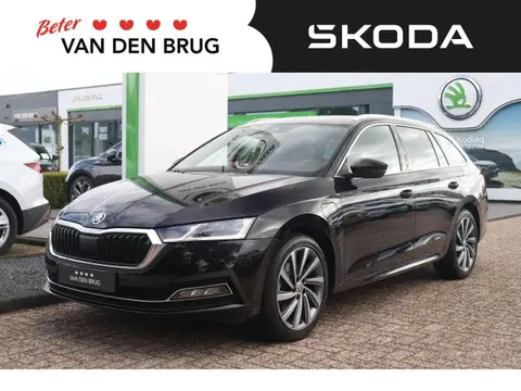 Used SKODA OCTAVIA Hybrid 2021 Ad 