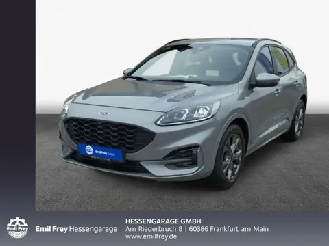 Used FORD KUGA Diesel 2023 Ad 