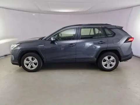 Used TOYOTA RAV4 Hybrid 2021 Ad 