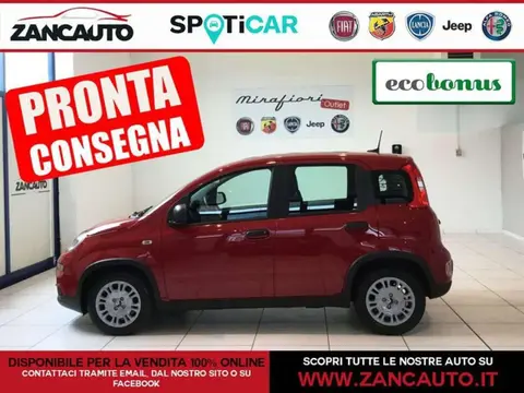 Used FIAT PANDA Hybrid 2024 Ad 