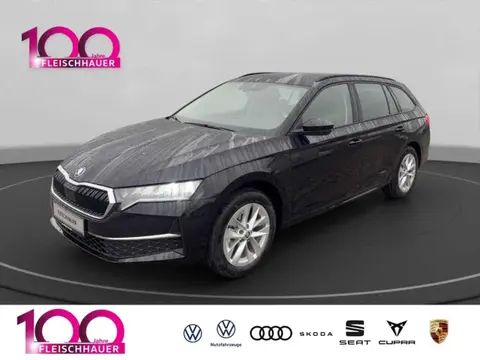 Annonce SKODA OCTAVIA Diesel 2024 d'occasion 