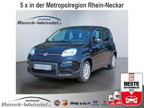 Used FIAT PANDA Hybrid 2024 Ad 