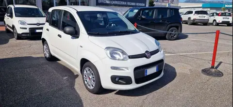 Annonce FIAT PANDA Essence 2020 d'occasion 