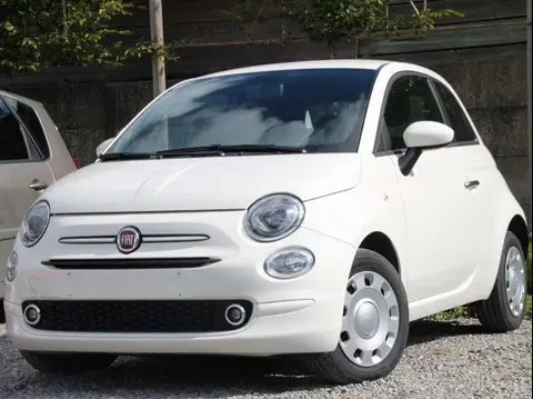 Used FIAT 500 Petrol 2023 Ad 