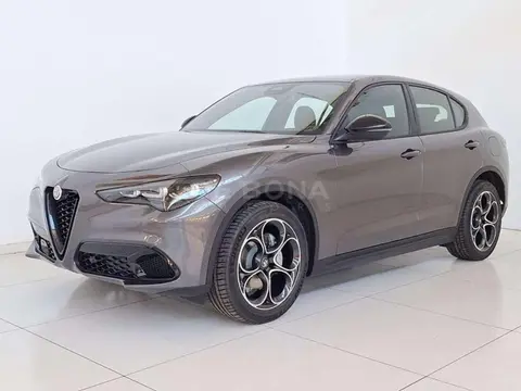 Annonce ALFA ROMEO STELVIO Diesel 2024 d'occasion 