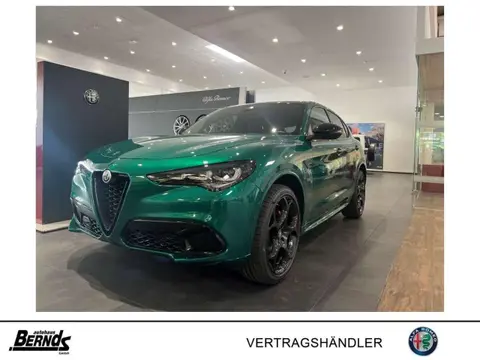 Annonce ALFA ROMEO STELVIO Essence 2024 d'occasion 