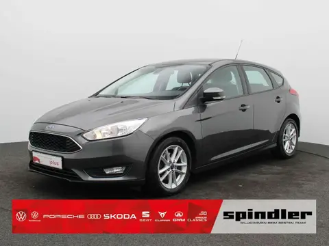 Annonce FORD FOCUS Diesel 2015 d'occasion 