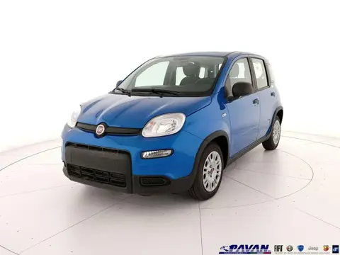 Annonce FIAT PANDA Hybride 2024 d'occasion 