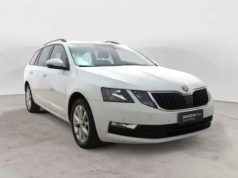 Annonce SKODA OCTAVIA Diesel 2020 d'occasion 