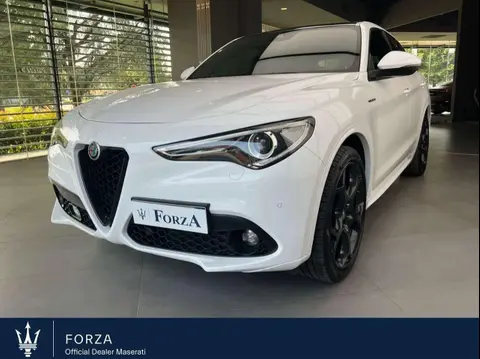 Used ALFA ROMEO STELVIO Diesel 2021 Ad 