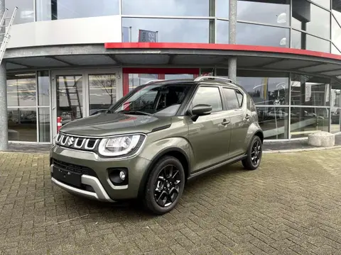 Annonce SUZUKI IGNIS Essence 2024 d'occasion 