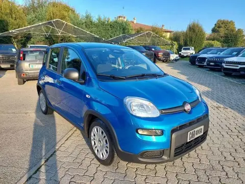 Used FIAT PANDA Hybrid 2024 Ad 