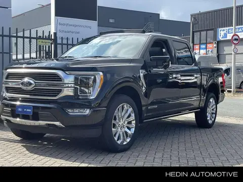 Annonce FORD F150 GPL 2024 d'occasion 