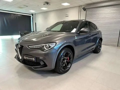 Used ALFA ROMEO STELVIO Petrol 2019 Ad 