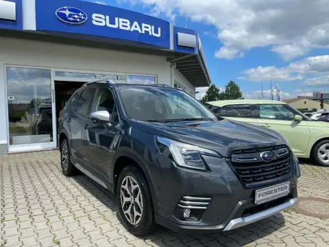 Used SUBARU FORESTER Petrol 2024 Ad 