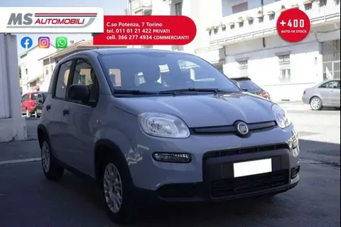 Annonce FIAT PANDA Hybride 2022 d'occasion 