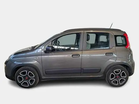 Annonce FIAT PANDA Hybride 2021 d'occasion 