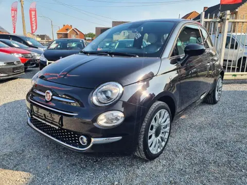 Used FIAT 500 Petrol 2019 Ad 