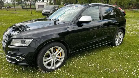 Used AUDI SQ5 Diesel 2017 Ad 