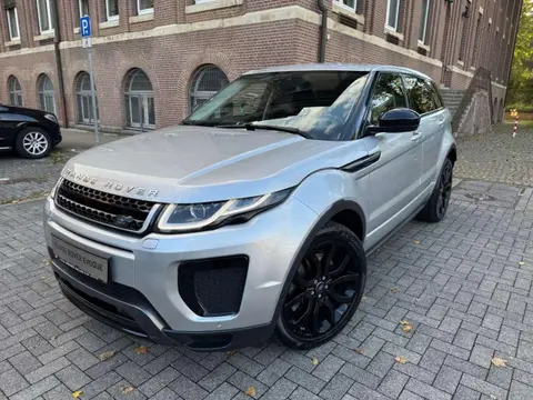 Used LAND ROVER RANGE ROVER EVOQUE Diesel 2017 Ad 