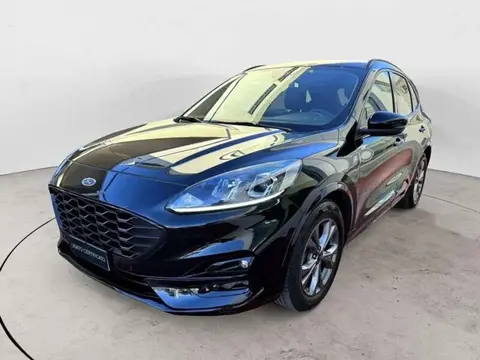 Annonce FORD KUGA Diesel 2023 d'occasion 