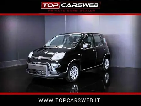 Annonce FIAT PANDA Hybride 2024 d'occasion 