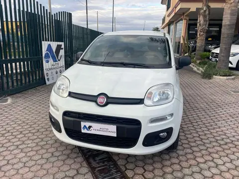 Annonce FIAT PANDA Diesel 2018 d'occasion 