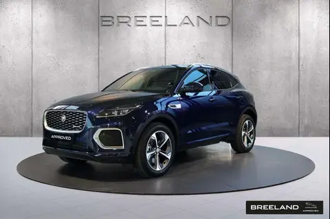 Used JAGUAR E-PACE Hybrid 2024 Ad 