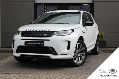 Used LAND ROVER DISCOVERY Hybrid 2021 Ad 